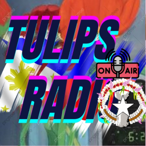Tulips Radio Tulips Radio